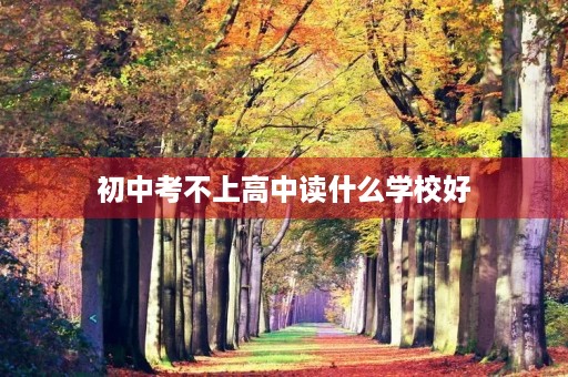 初中考不上高中读什么学校好