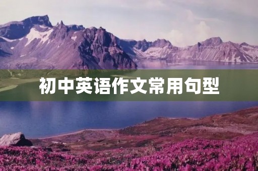 初中英语作文常用句型