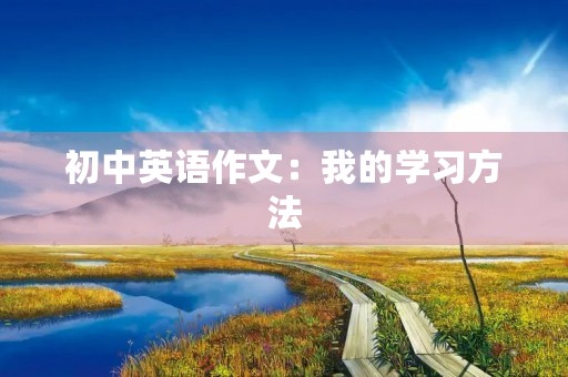 初中英语作文：我的学习方法