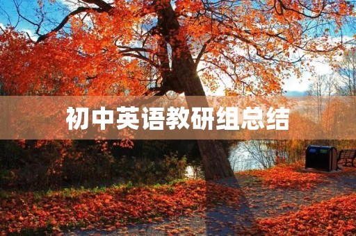 初中英语教研组总结