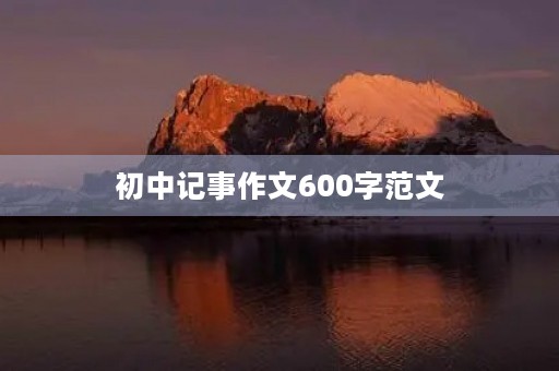 初中记事作文600字范文