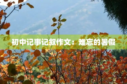 初中记事记叙作文:难忘的暑假 初中记事记叙作文:难忘的暑假