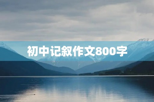 初中记叙作文800字
