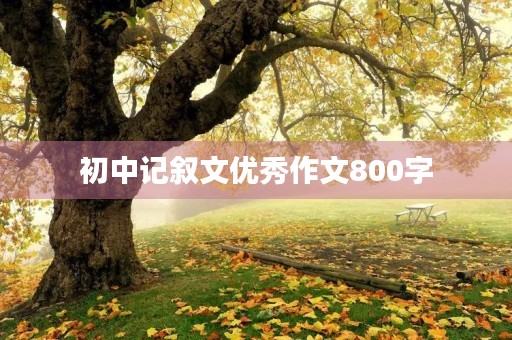 初中记叙文优秀作文800字