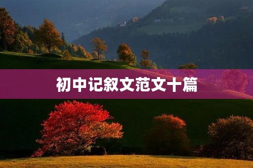 初中记叙文范文十篇 初中记叙文范文十篇