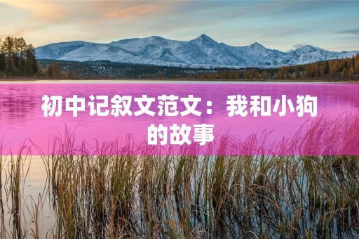 初中记叙文范文:我和小狗的故事 初中记叙文范文:我和小狗的故事