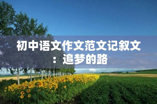 初中语文作文范文记叙文：追梦的路
