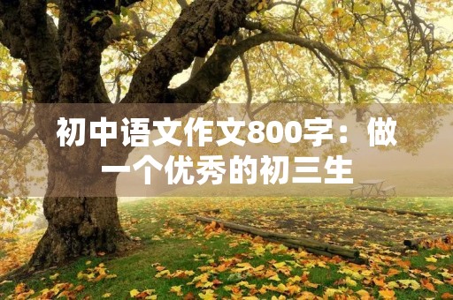 初中语文作文800字：做一个优秀的初三生