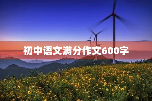 初中语文满分作文600字 初中语文满分作文600字