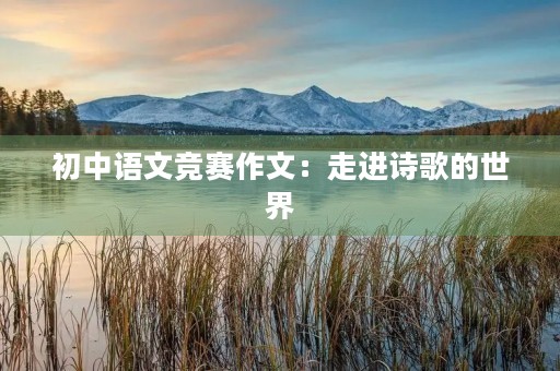 初中语文竞赛作文：走进诗歌的世界