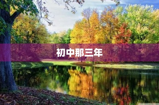 初中那三年，我成长的足迹