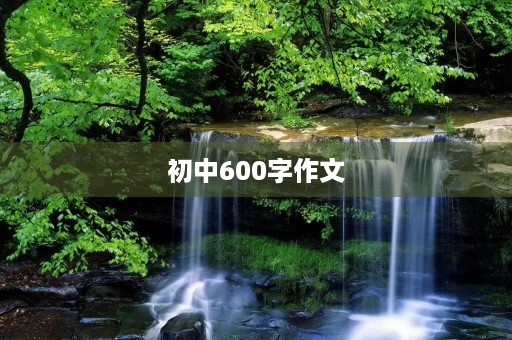 初中600字作文