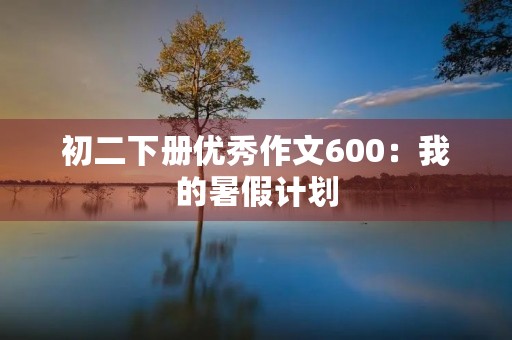 初二下册优秀作文600：我的暑假计划
