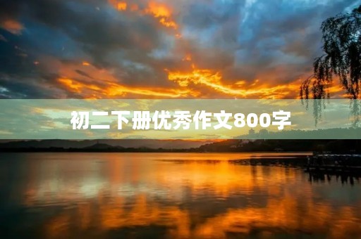 初二下册优秀作文800字