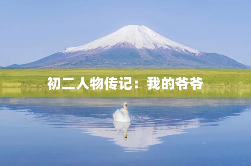 初二人物传记：我的爷爷