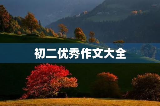 初二优秀作文大全 初二优秀作文大全