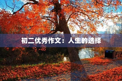 初二优秀作文：人生的选择