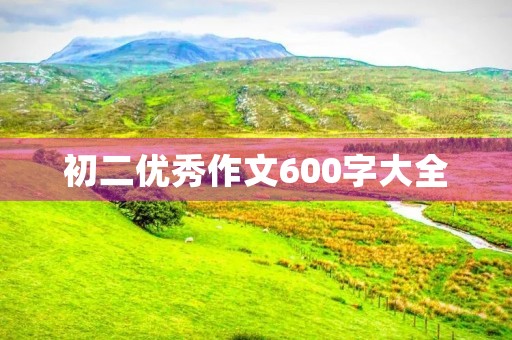 初二优秀作文600字大全