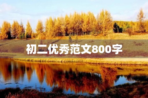 初二优秀范文800字