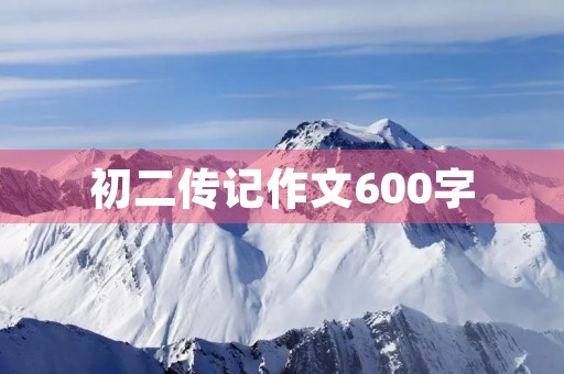 初二传记作文600字