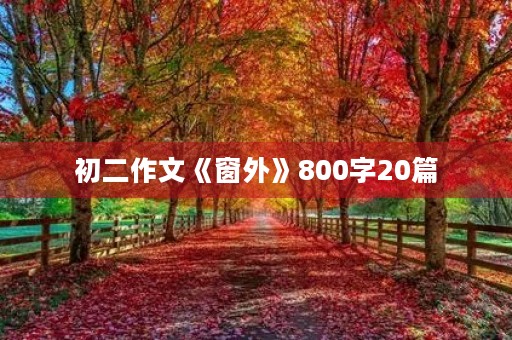 初二作文《窗外》800字20篇 初二作文《窗外》800字20篇