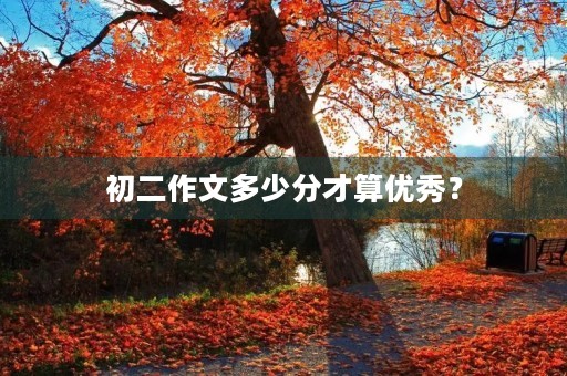 初二作文多少分才算优秀？