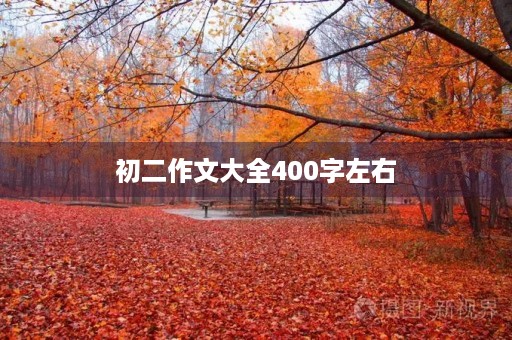初二作文大全400字左右