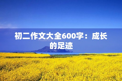 初二作文大全600字：成长的足迹