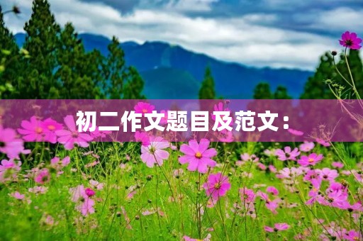初二作文题目及范文：