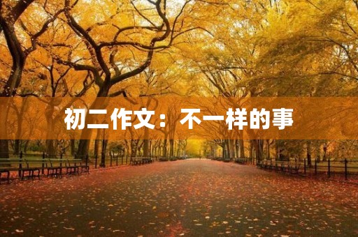 初二作文：不一样的事