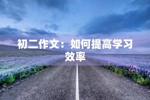 初二作文:如何提高学习效率 初二作文:如何提高学习效率
