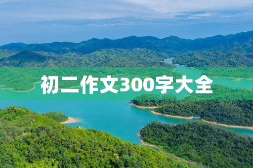 初二作文300字大全