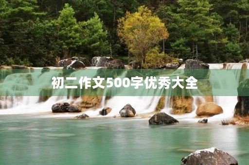 初二作文500字优秀大全