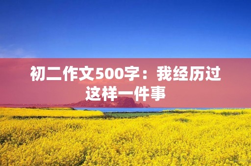 初二作文500字：我经历过这样一件事