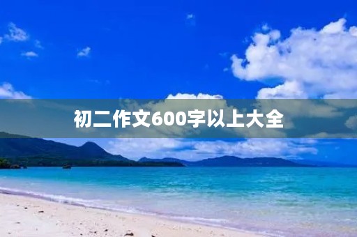 初二作文600字以上大全