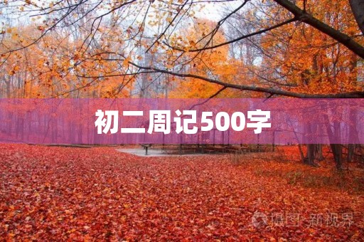 初二周记500字
