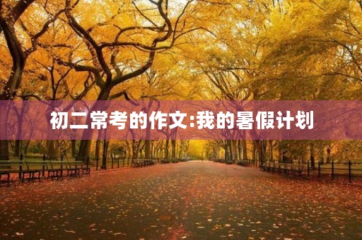 初二常考的作文:我的暑假计划