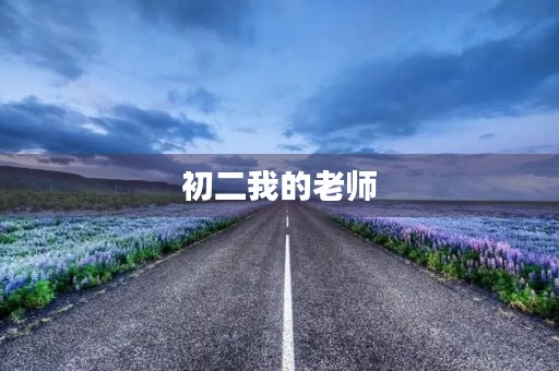 初二我的老师