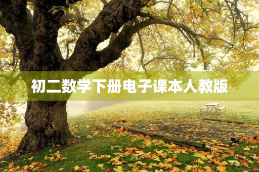 初二数学下册电子课本人教版 初二数学下册电子课本人教版
