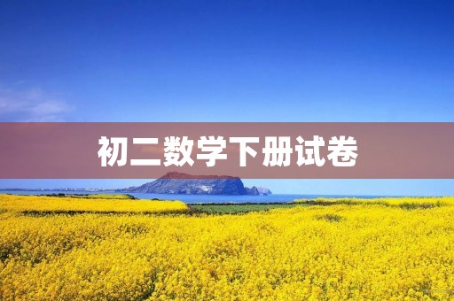 初二数学下册试卷 初二数学下册试卷