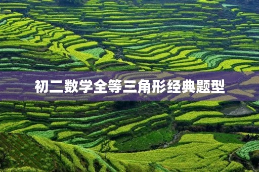 初二数学全等三角形经典题型 初二数学全等三角形经典题型
