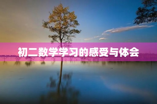 初二数学学习的感受与体会 初二数学学习的感受与体会