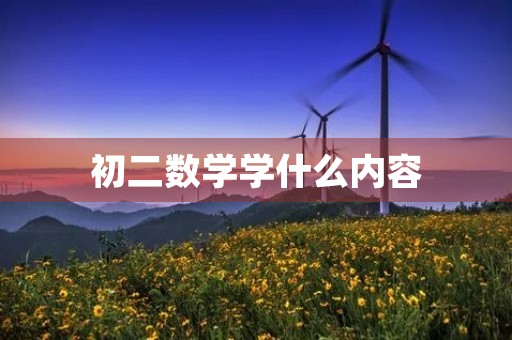 初二数学学什么内容 初二数学学什么内容