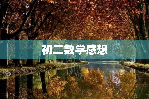 初二数学感想