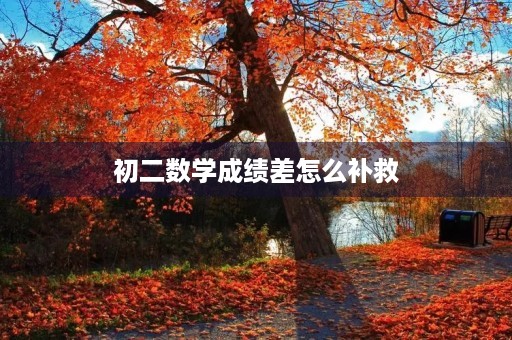初二数学成绩差怎么补救 初二数学成绩差怎么补救