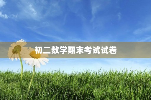 初二数学期末考试试卷 初二数学期末考试试卷