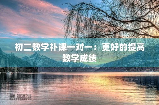 初二数学补课一对一：更好的提高数学成绩