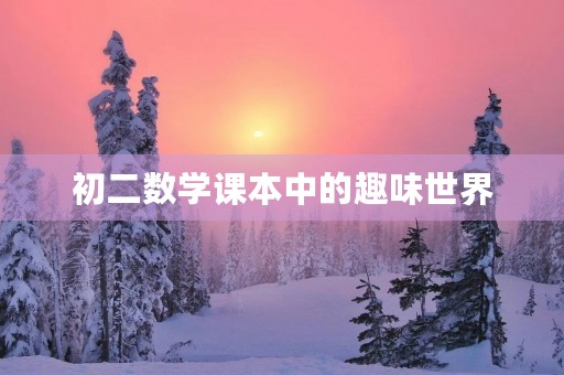 初二数学课本中的趣味世界 初二数学课本中的趣味世界