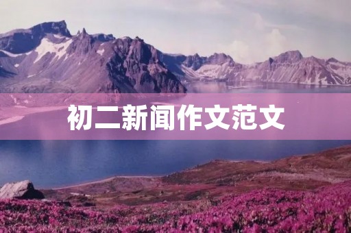 初二新闻作文范文