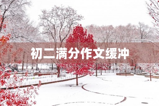 初二满分作文缓冲